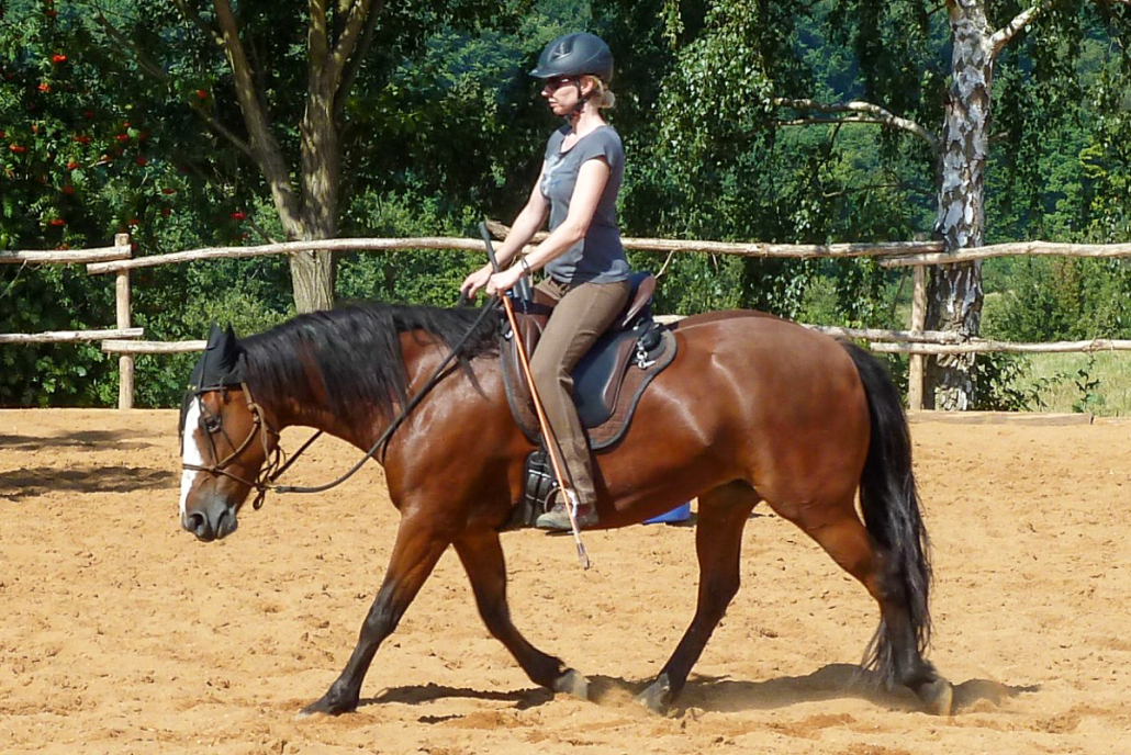 Stefanie Barth beim Reiten ihrer Stute Farola im Sandreitplatz – harmonisches Reittraining mit feiner Hilfengebung im natürlichen Umfeld.