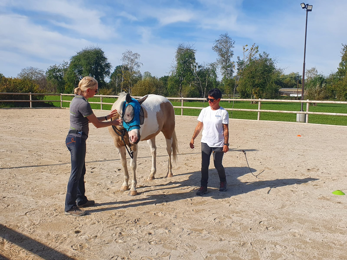 Stefanie Barth gibt Einzelunterricht auf einem Reitplatz, während sie mit einer Kundin und deren Pferd arbeitet. Das Pferd trägt eine blaue Fliegenmaske, während die Kundin mit einem entspannten Lächeln zuhört. Der Unterricht findet bei sonnigem Wetter in einer offenen und freundlichen Atmosphäre statt.