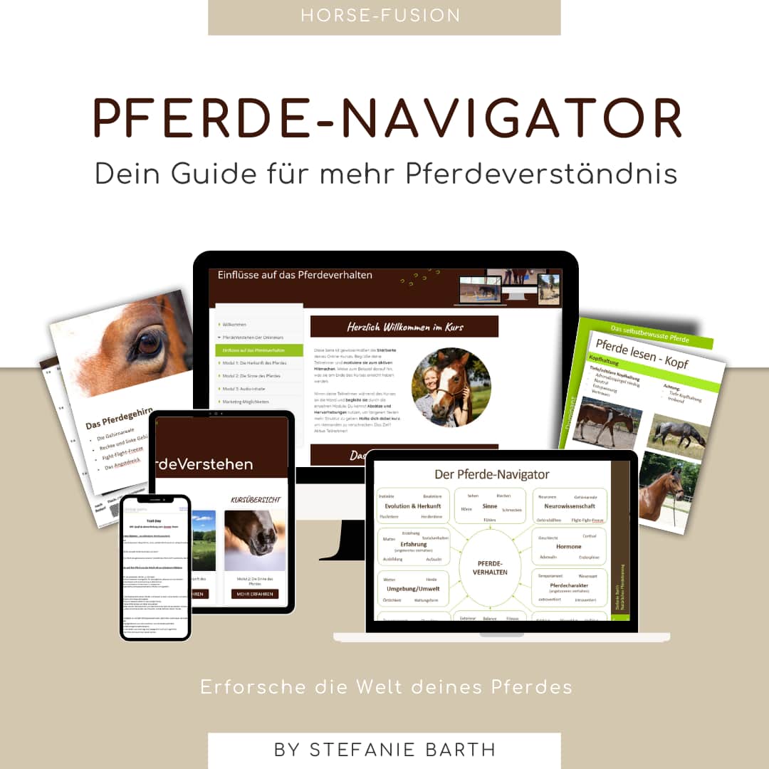 Horse-Fusion Pferde-Navigator Guide für mehr Verständnis deines Pferdes