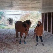 Christina führt ihr braunes Pferd Benicio im Stall