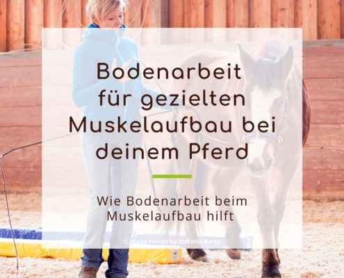 Bodenarbeit für gezielten Muskelaufbau beim Pferd