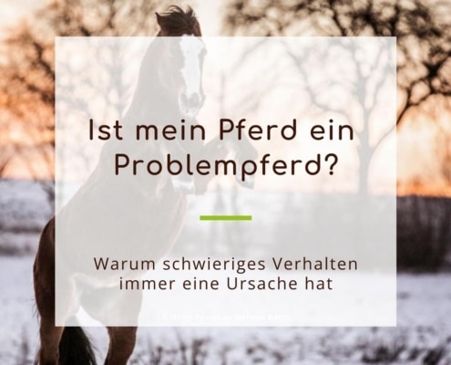 Problempferd Blogbeitrag Symbolbild