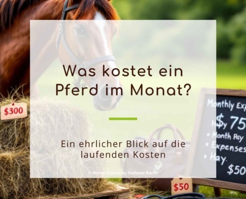 Was kostet ein Pferd im Monat