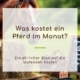 Was kostet ein Pferd im Monat