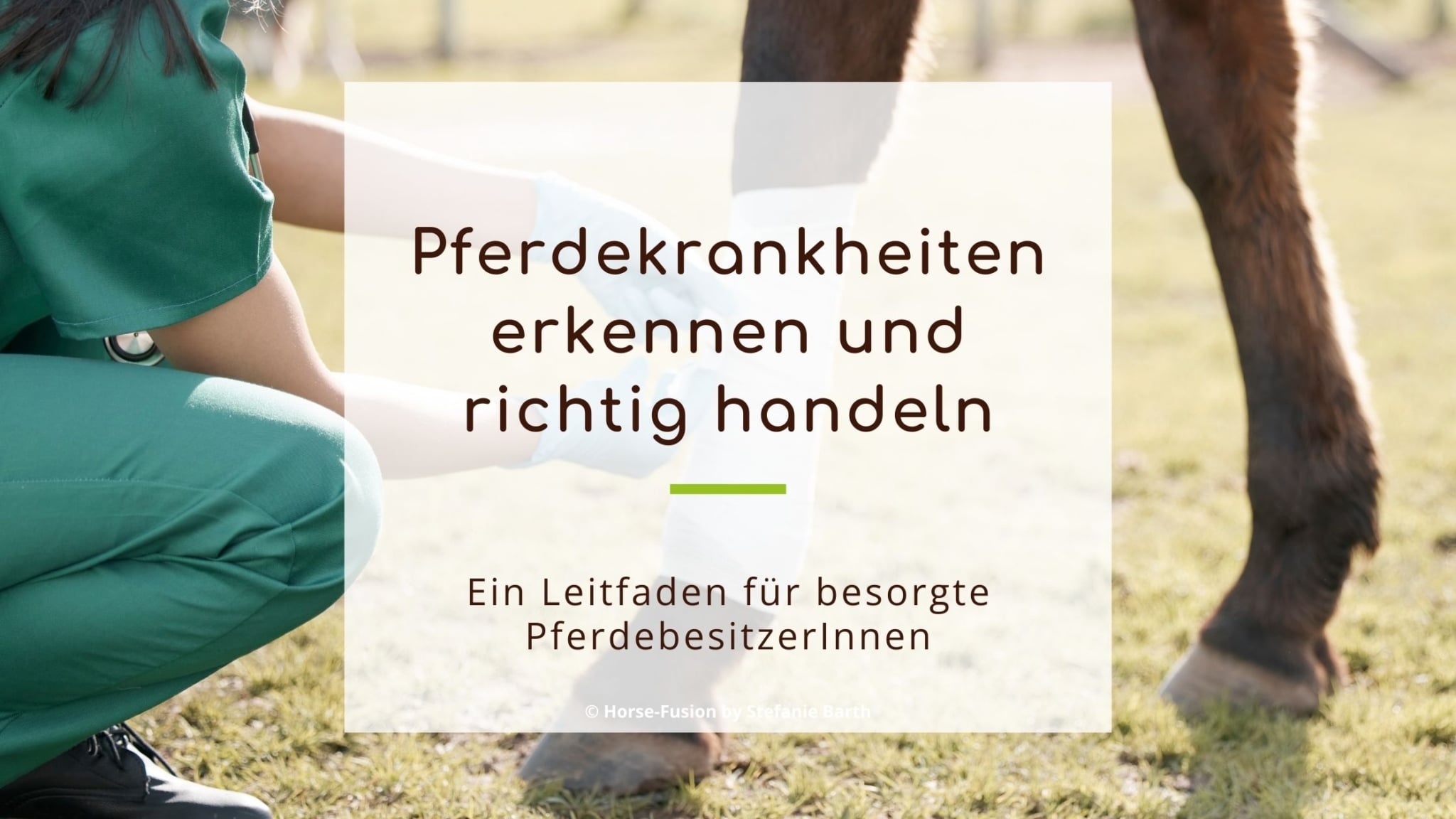 Pferdekrankheiten Blogbeitrag Symbolbild